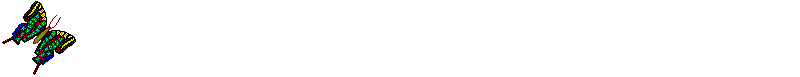 Animated Gif of Butterfly - We've Moved. The New York Area Bisexual Network (NYABN) can now be found at www.NYABN.org.