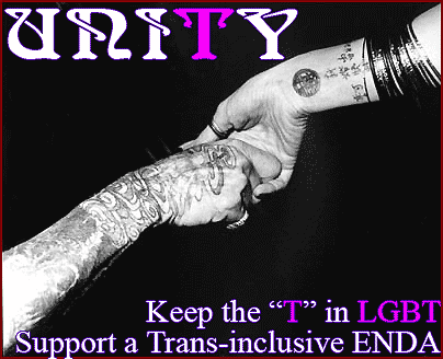 UNITY - Keept the T in the LGBT Community - Support a Trans-inclusive ENDA