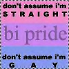 Don't Assume I'm Straight Don't Assume I Gay Bi Pride
